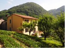 auction-tuscany-villa